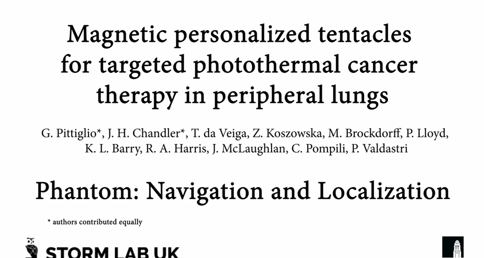 Phantom lung - navigation and localisation