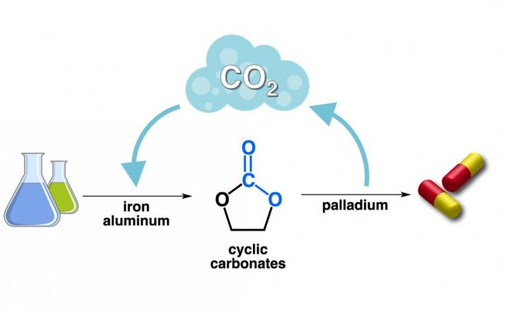 CO2 is the Philosopher's Stone That Makes These Reactions Possible
