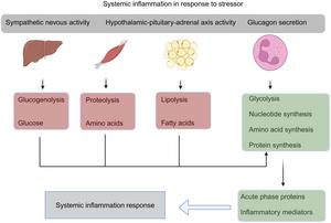 Major changes in energy metabolism levels in ACLF (acute-on-chronic liver failure)