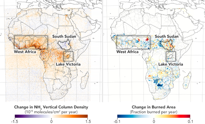 Change in Ammonia Concentration and Burned Area