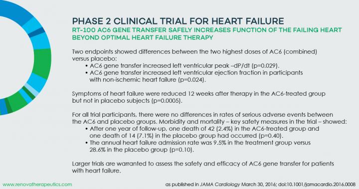 Phase 2 Clinical Trial for Heart Failure