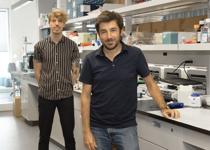 Nicolas Chomont (on the right), a CRCHUM researcher and professor at Université de Montréal, with Pierre Gantner, a former postdoctoral student in Chomont’s lab and the study’s first author