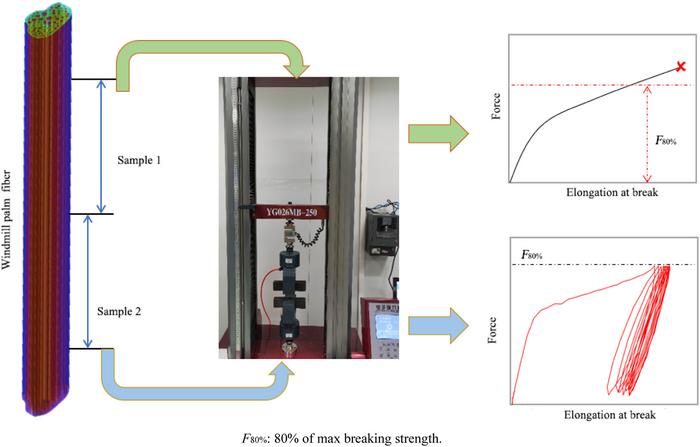 Advancing Windmill Palm Fibers for High-Performance Composites