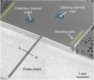 Fabricated bimodal MEMS neural probe