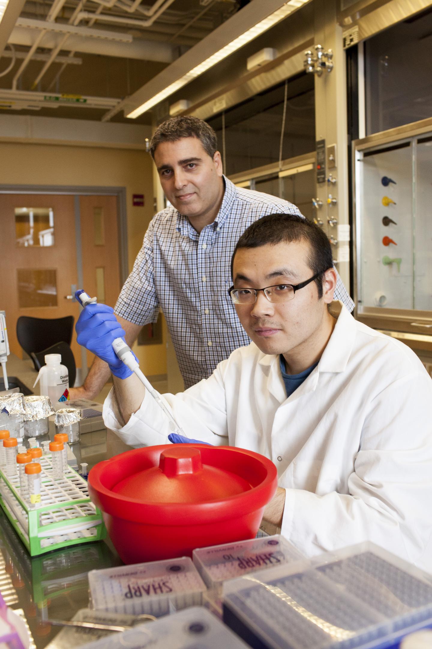 Creating Knotted Chemical Structures