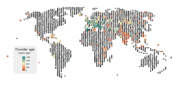 Founder events in recent human history