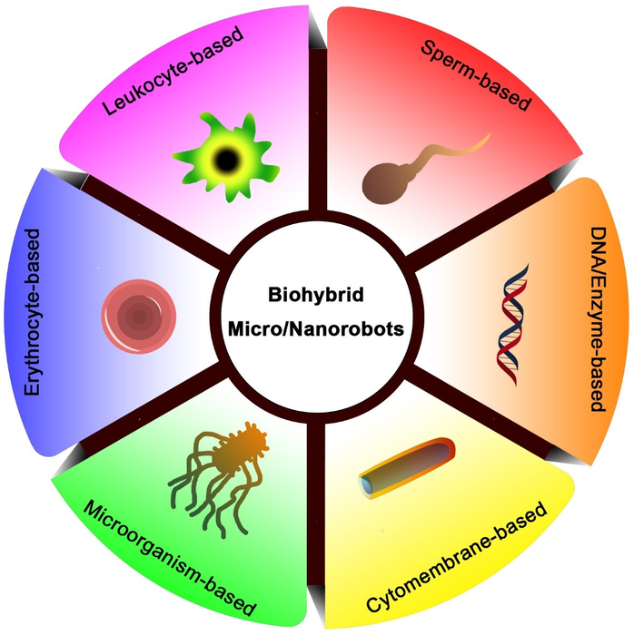 Various biohybrid micro- and nanorobots
