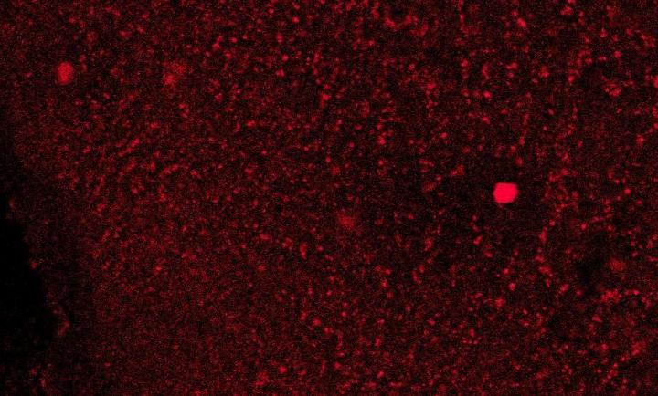 Formation of Crystals