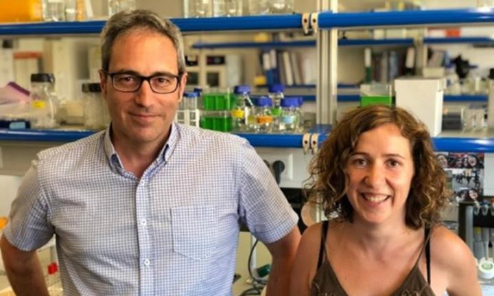 Findings in LPHN3 Gene