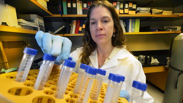 Senior GRU Photographer