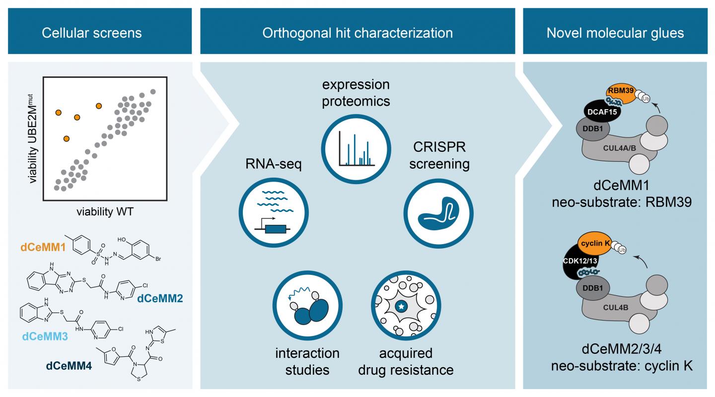 Journal Nature Reviews Molecular Cell Biology