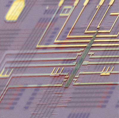 Programmable Nanowire Nanoprocessor super-imposed on a Schematic Nanoprocessor Circuit