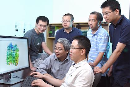 The UTSW Research Team that Determined the 3-d Atomic Structure of an Ion Channel