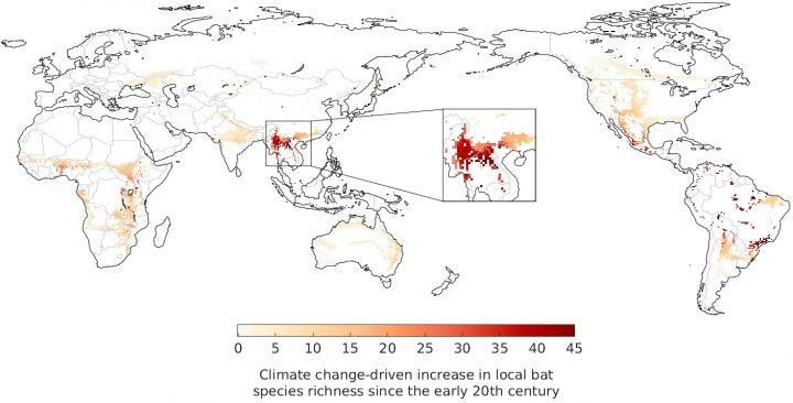 Climate change has driven an increase in the number of bat species in southern China in the past century