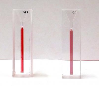 Gold Nanoparticle Conjugates