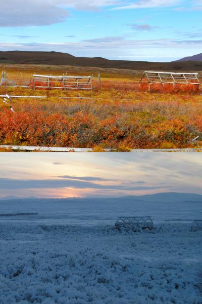 The US Arctic LTER Greenhouse in Peak Autumn and Early Winter