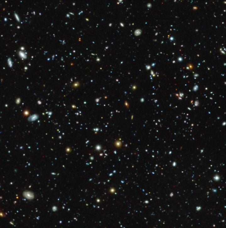 The Hubble Ultra Deep Field Seen with MUSE