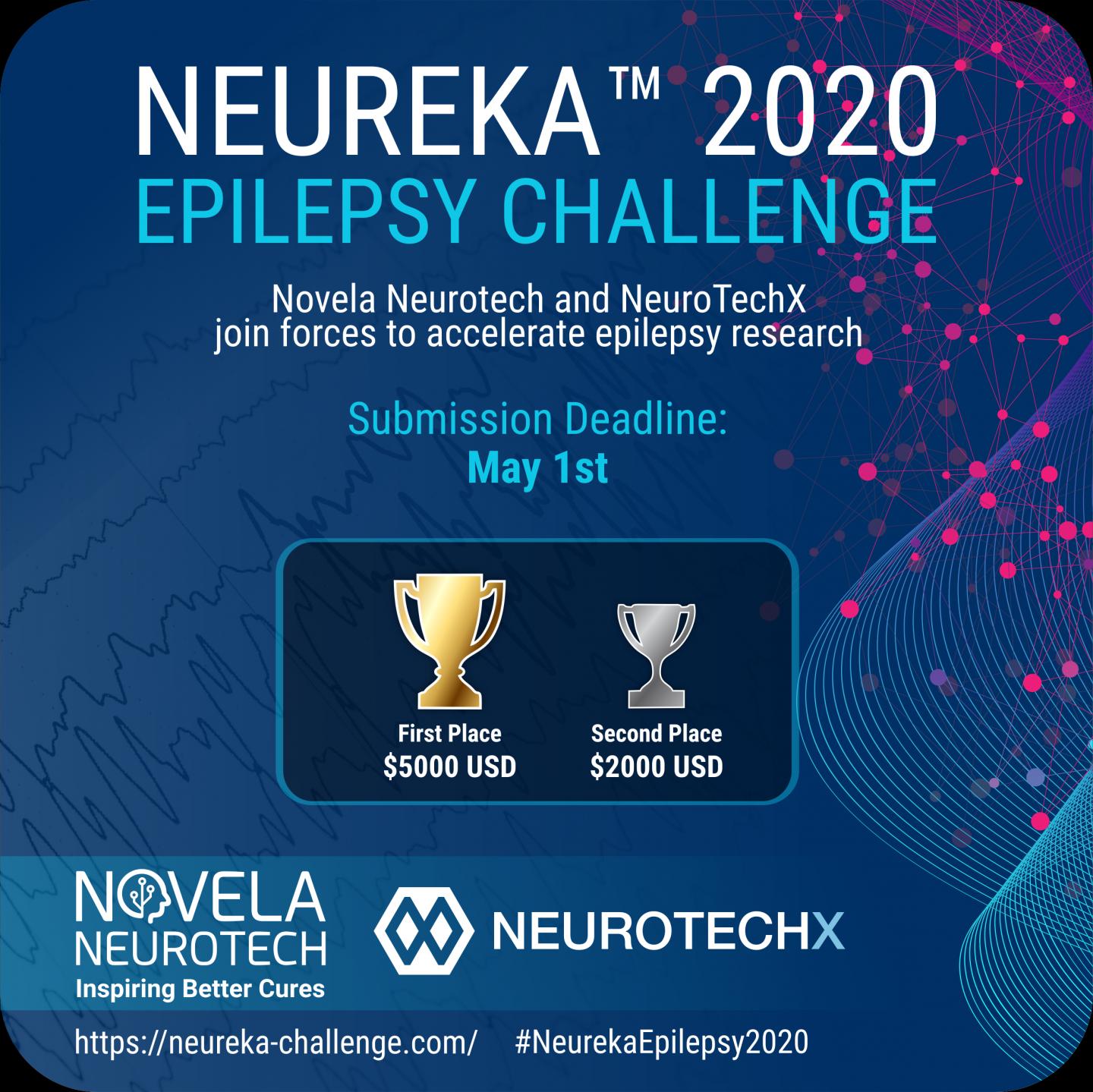 The Neureka Epilepsy Challenge