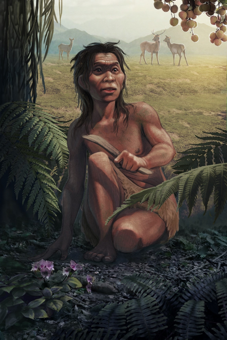 The reproduced portrait of the Red Deer Cave People or Mengziren