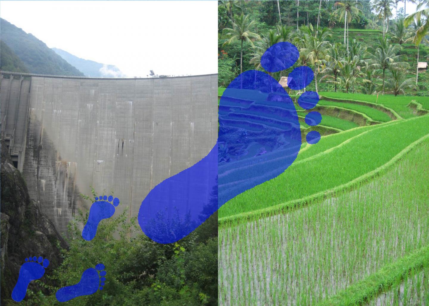 Local Human Activity Altering Global Water Footprint More than Thought (1 of 3)