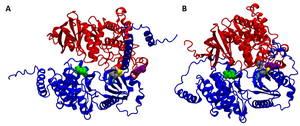 Plant sensor structure