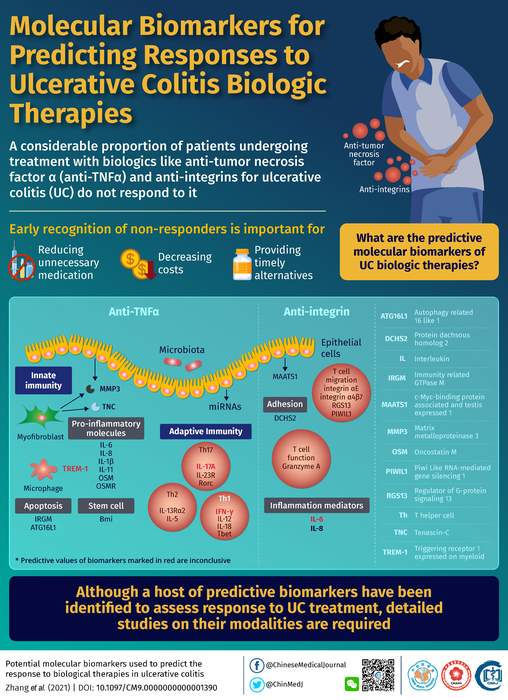 Molecular Biomarkers for Predicting Responses to Ulcerative Colitis Biologic Therapies