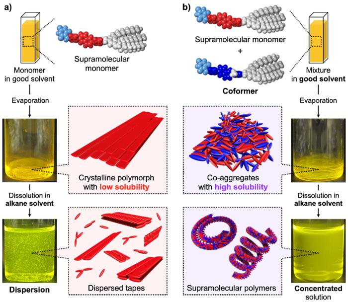 Preparation of supramolecular polymers from a monomer showing crystalline polymorphism