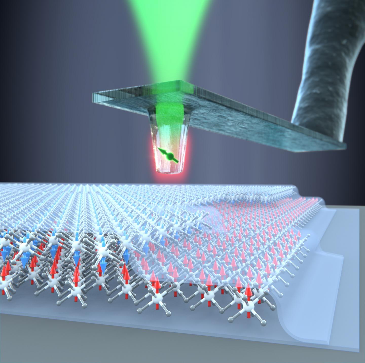 Quantitative Measurement of Magnetization