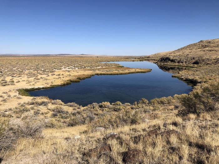 Harney Basin spring