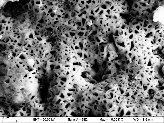 Honeycomb Structure with Oxygen-poor Pores Found in Oxide scale on Small Lead-based Reactor Materials