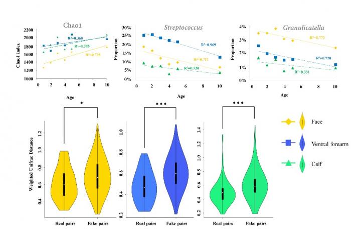 Mode of Delivery at Birth May Play Key Role in Shaping the Child's Skin Microbiome