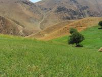 Natural Landscapes from Iran (1 of 2)