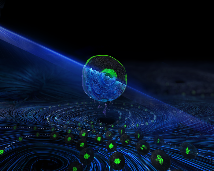 Schraivogel_cover_wide