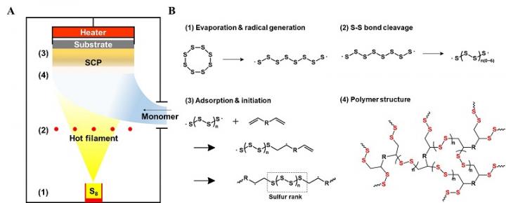 Schematic Illustration