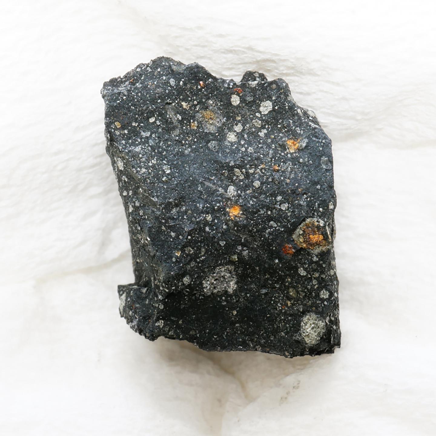 A Fragment of the Murchison Meteorite