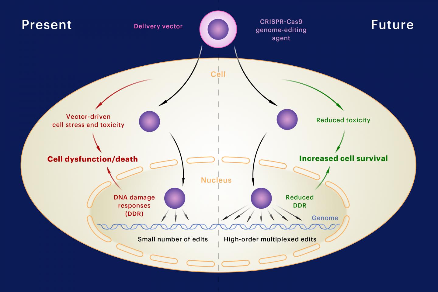 The Future of Multiplexed Gene Editing