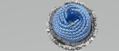 Genome Condensed inside a Virus