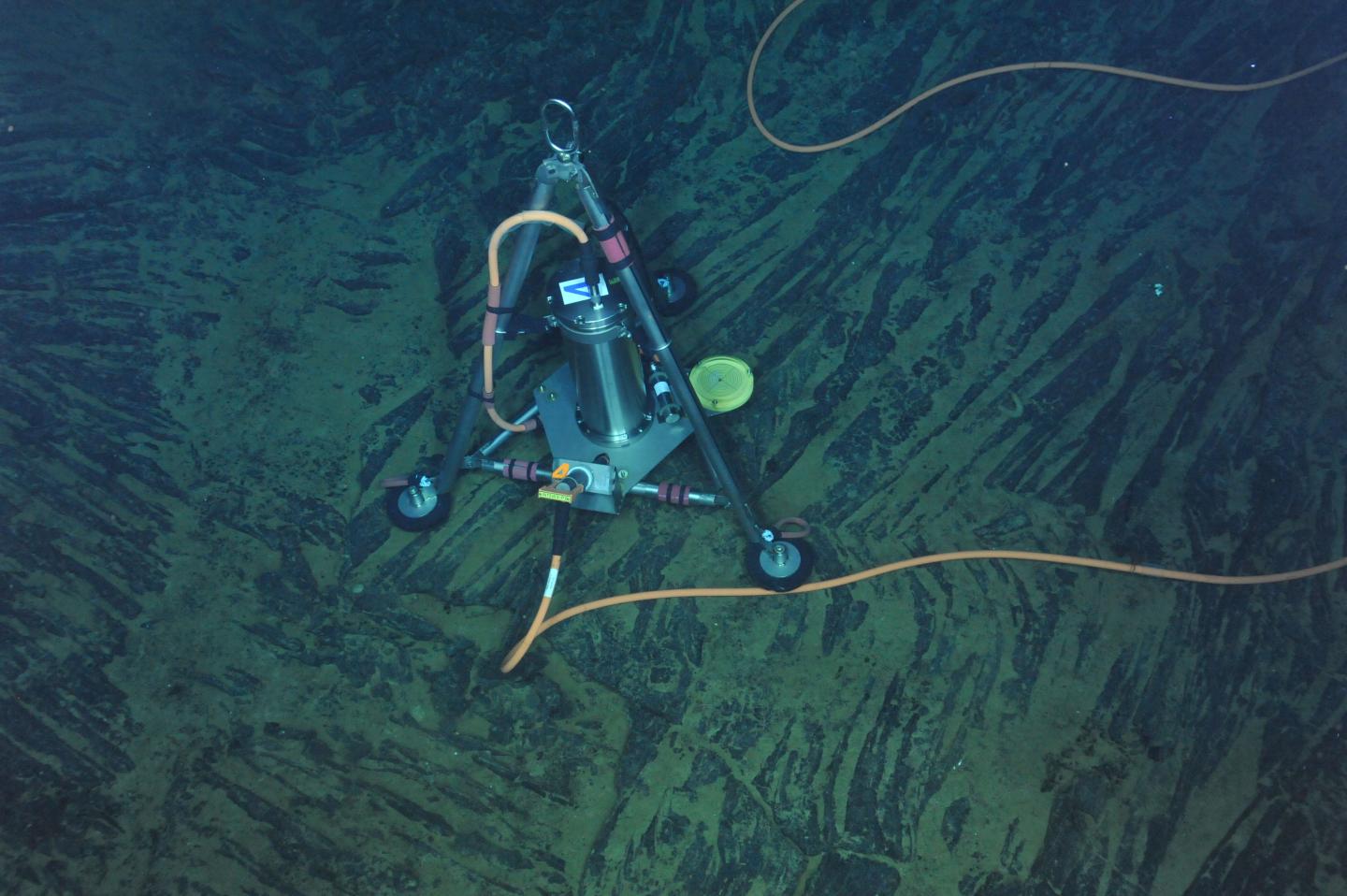 Getting to the Bottom of Deep Sea Volcanic Activity (9 of 9)