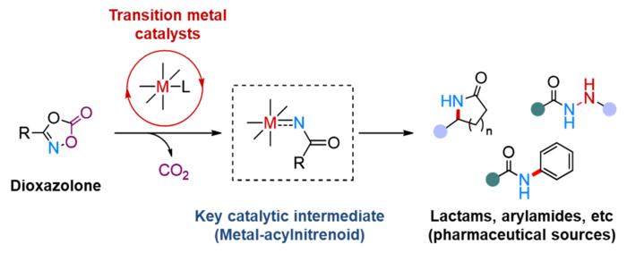 Figure 2. Transition metal-catalyzed amidation using dioxazolone reagent