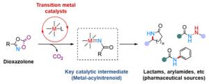 Figure 2. Transition metal-catalyzed amidation using dioxazolone reagent