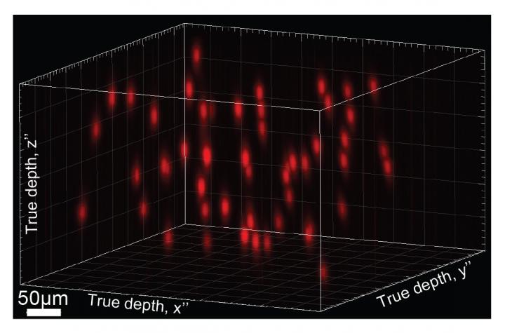Neurons Illuminated by 3-D Holography