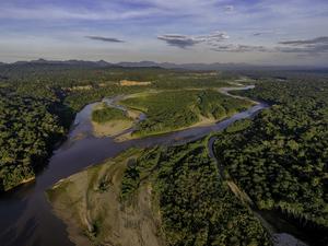 Conservation of Nature’s Strongholds needed to halt biodiversity loss