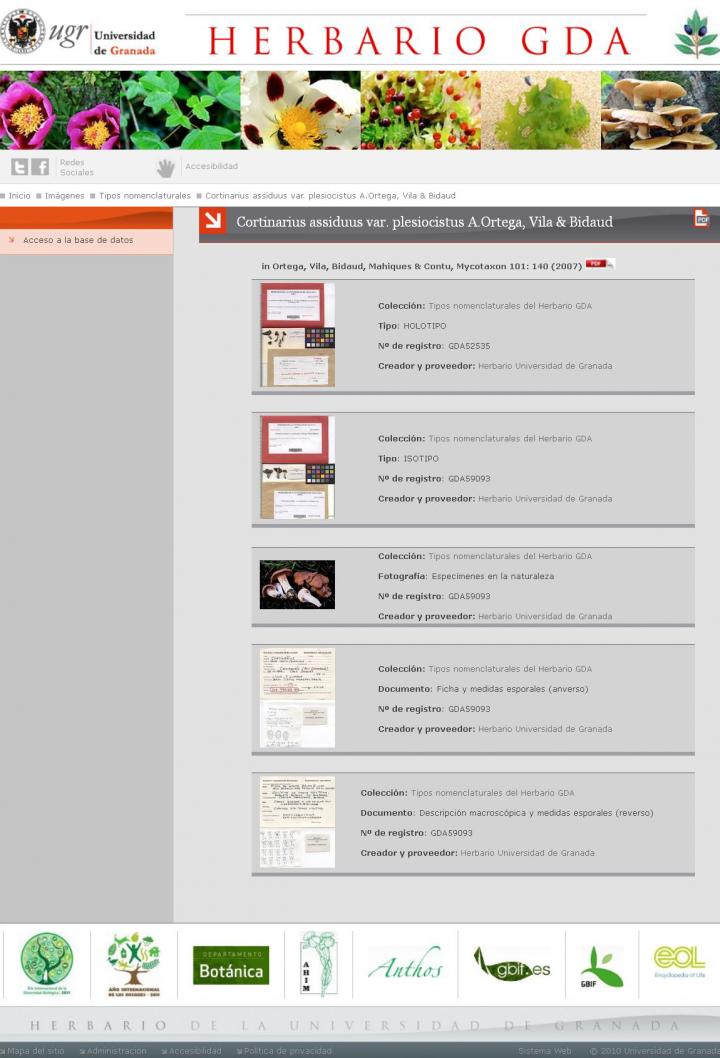 Types of Information