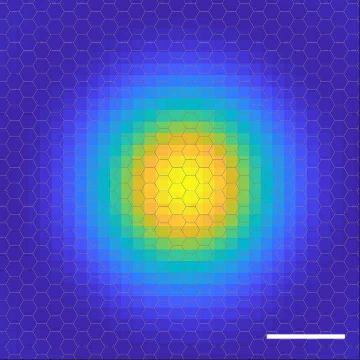 The probability distribution of the electron around the hole within an exciton