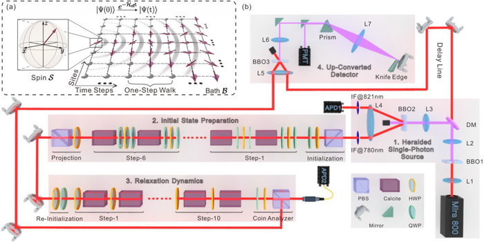 Quantum walk model and the exp [IMAGE] | EurekAlert! Science News Releases