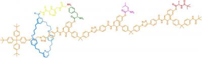 Peptides From a Robotic Ribosome? (5 of 6) | EurekAlert!