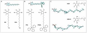 Study Identifies Highly Soluble Molecules with Superior Antioxidant Benefits for Cells