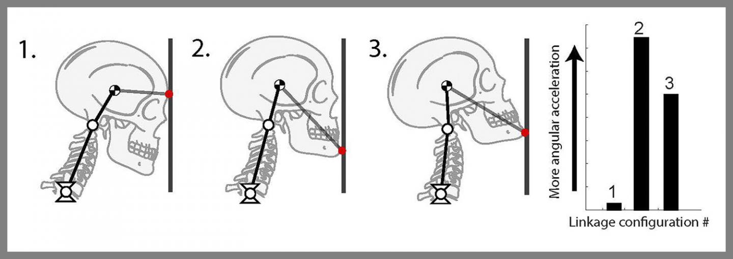 Figure Three of the Head and Neck Alignments Modeled by the Researchers