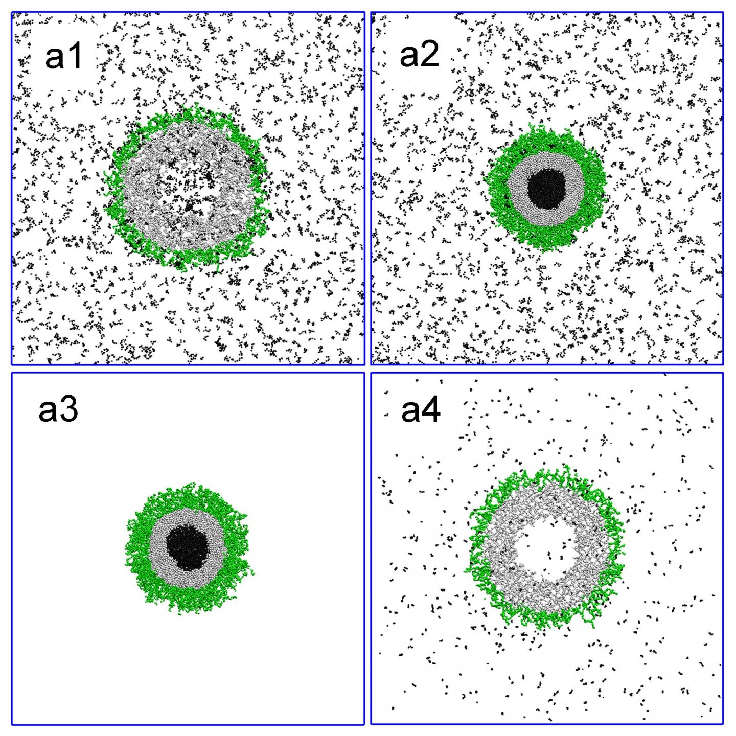 Locking and Release of the Guest Molecules