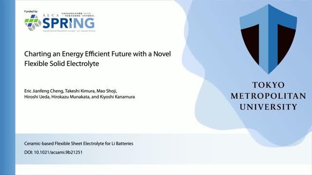 Ceramic-Based Flexible Sheet Electrolyte for Li Batteries